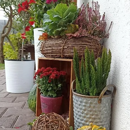 Apartment Stubenboeck *