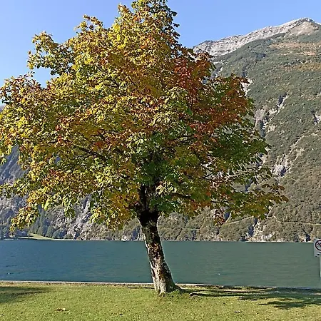 Stubenboeck * Achenkirch