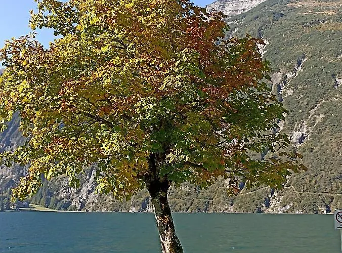 Stubenboeck * Achenkirch