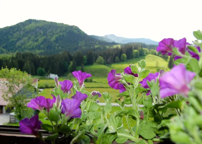 Appartement Stubenboeck Achenkirch