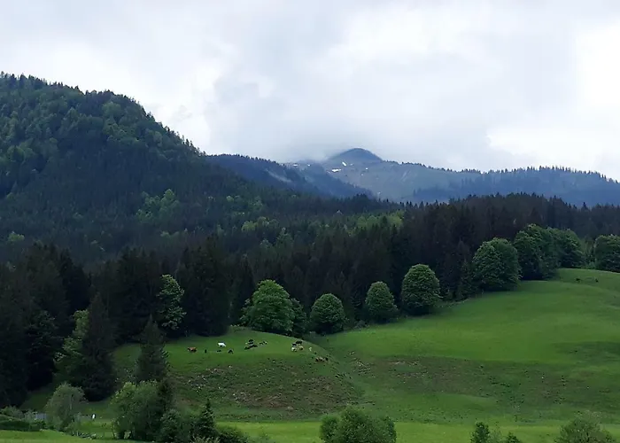 Apartment Stubenboeck *