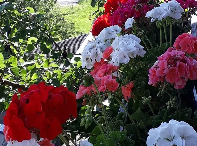 Stubenboeck Achenkirch