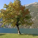 Stubenboeck * Achenkirch